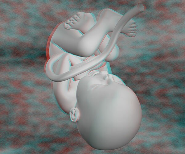 3-D illustration of unborn child at 39 weeks gestation